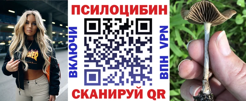 Псилоцибиновые грибы Cubensis  где продают   kraken маркетплейс  Онега 