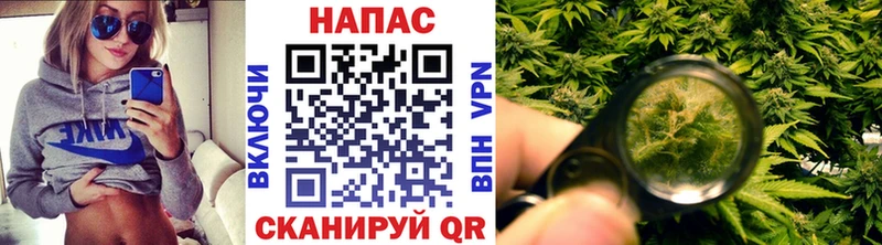 ссылка на мегу зеркало  Онега  Каннабис Bruce Banner  купить наркоту 